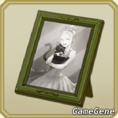 妮可&小猫的照片