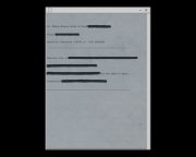 浣熊市特别行动指令