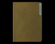 170号实验体记录