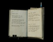 艾丽莎的记事本