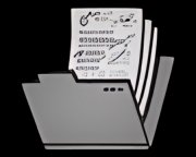 维克多·基甸调查报告