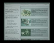 产品目录1（2026年版）