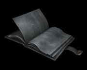 储备干部的日记